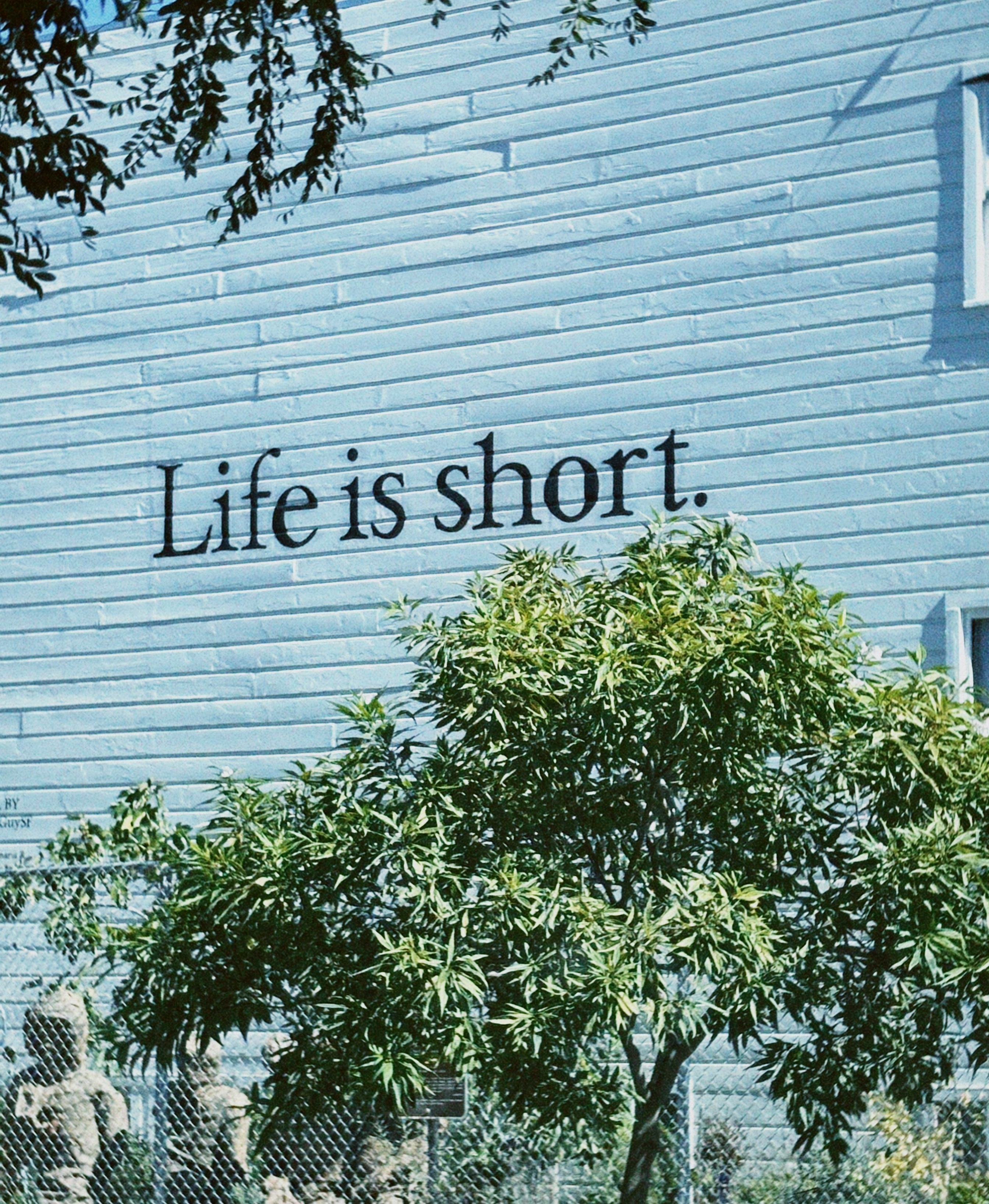 Life is short